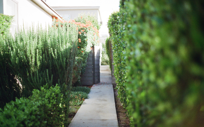 garden-pathway-backyard